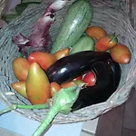 Farma Valle Del Belvedere *