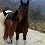 Valle Del Belvedere * Spoleto
