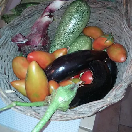 Farma Valle Del Belvedere *