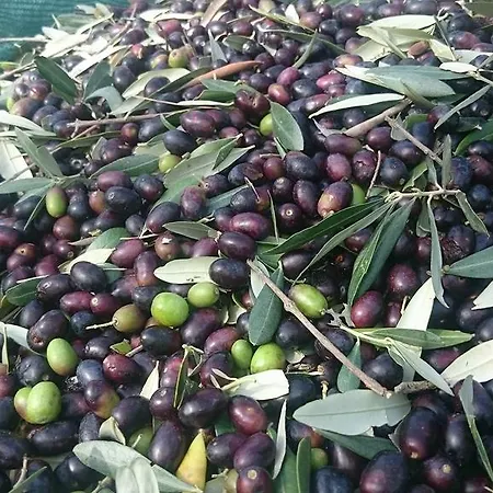 Valle Del Belvedere * Spoleto