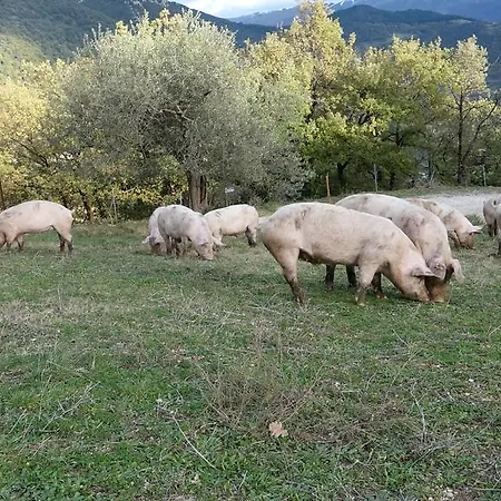 팜스테이 Valle Del Belvedere 스폴레토