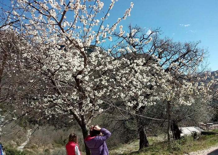 Alojamento de Turismo Rural Valle Del Belvedere Spoleto