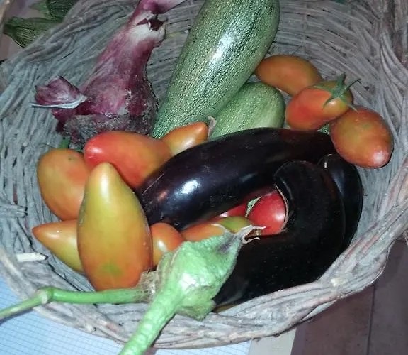 Vakantieboerderij Valle Del Belvedere *