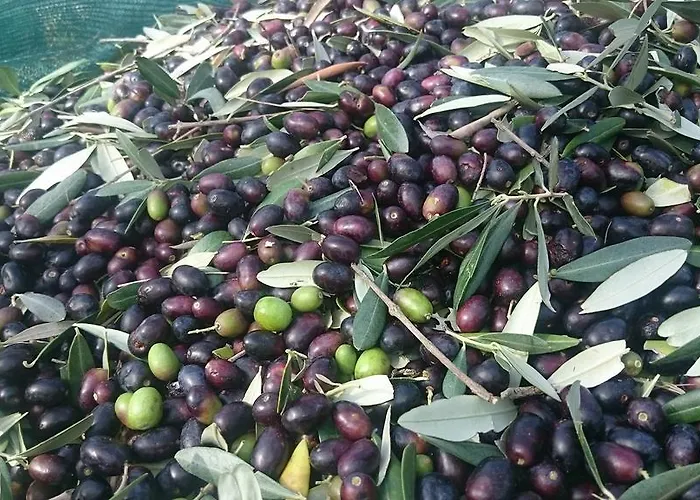 Valle Del Belvedere * Spoleto