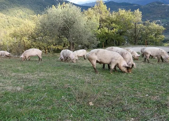 Alojamento de Turismo Rural Valle Del Belvedere Spoleto
