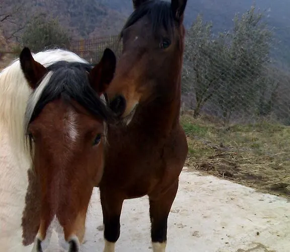 Valle Del Belvedere * Spoleto